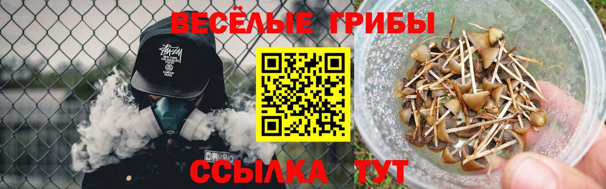 где можно купить   Псилоцибиновые грибы Cubensis  Вход с VPN  Верхняя Пышма 